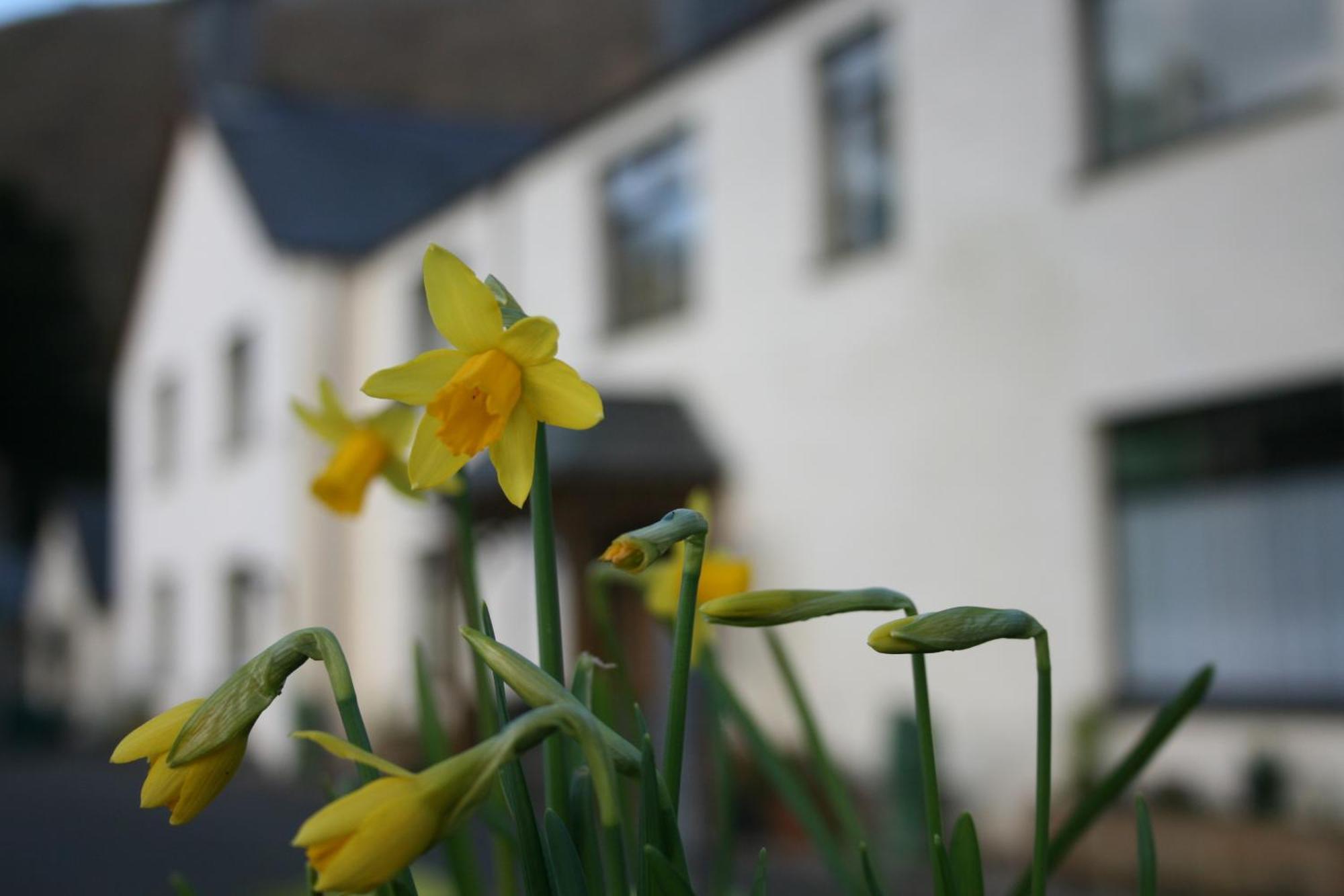 Padarn Apartment At Glanybala Holidays 란베리스 외부 사진